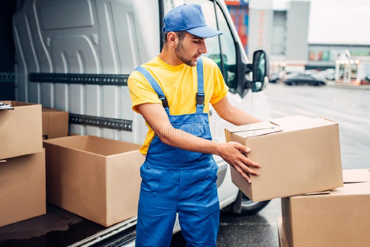 Domestic Courier